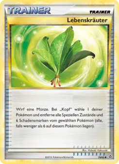 Lebenskräuter