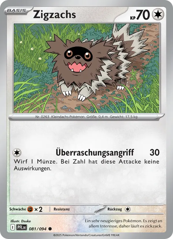 Zigzachs