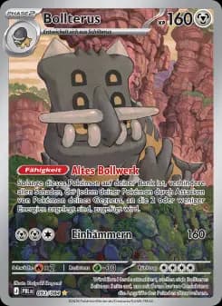 Bollterus
