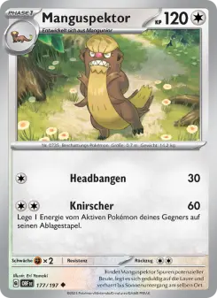 Manguspektor