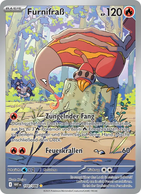 Furnifraß