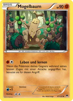 Mogelbaum