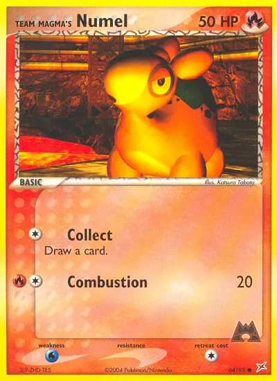 Team Magmas Camaub