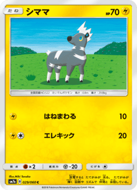 シママ