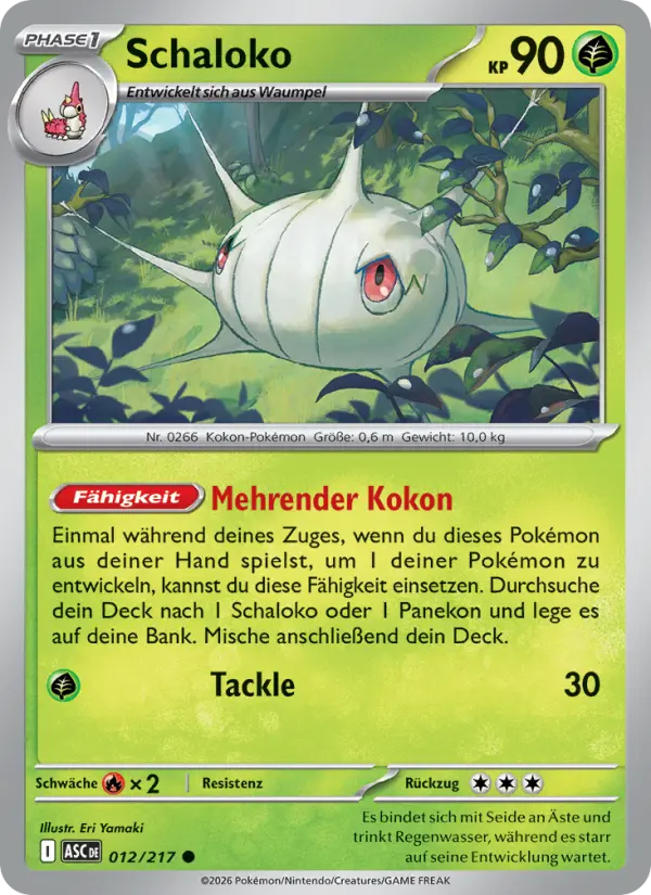 Schaloko