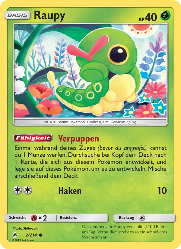 Raupy