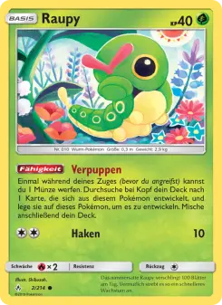 Raupy