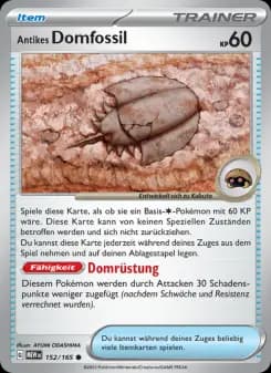 Antikes Domfossil
