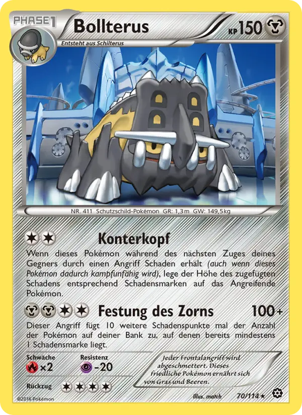 Bollterus