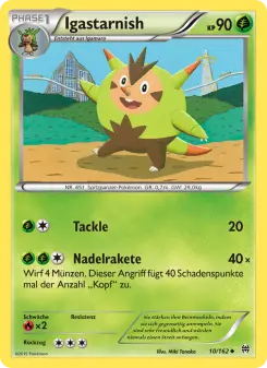 Igastarnish