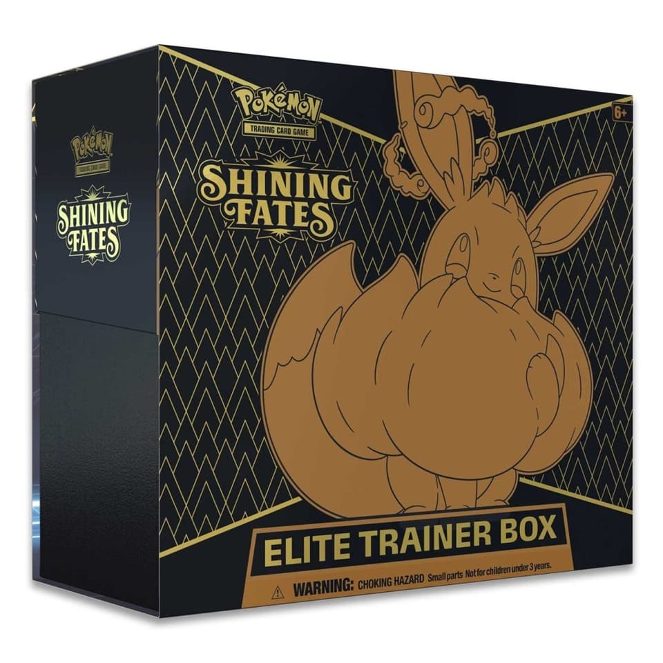 Glänzendes Schicksal Top-Trainer-Box