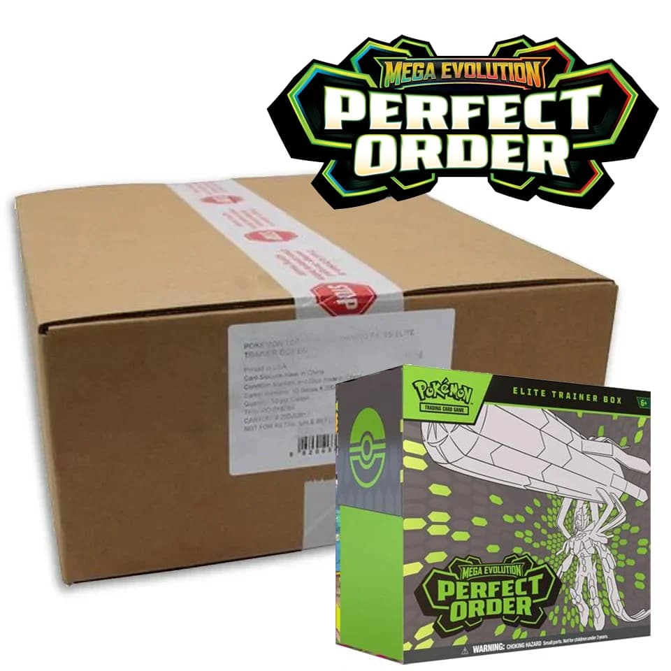 Optimale Ordnung 10 Top-Trainer-Box Case